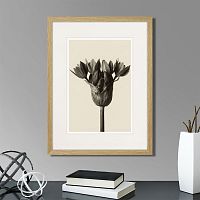 картина: botanical philosophy of forms №5, 1912г. в Томске