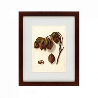 картина: watercolor collection, drawing №3, 1909 в Томске