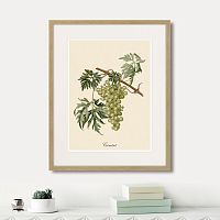 картина juicy fruit lithography №13, 1870 г., 42х52 см в Томске