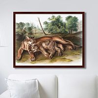 картина: the cougar, 1850г. в Томске
