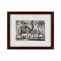 картина: a camel, 1670 в Томске