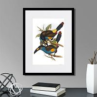 картина: toucans №4, 1849г. в Томске