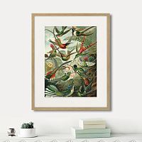 картина: art forms of nature №1, 1897г. в Томске