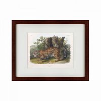 картина: jaguar, 1841 в Томске