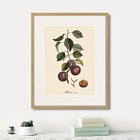 картина: juicy fruit lithography №6, 1870г. в Томске