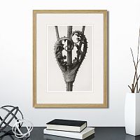 картина: botanical philosophy of forms №1, 1912г. в Томске