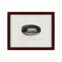 картина: a prize boar, 1867 в Томске