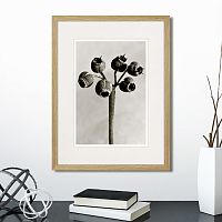 картина: botanical philosophy of forms №4, 1912г. в Томске