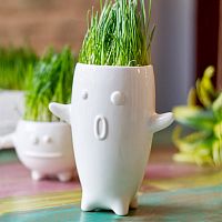 ваза eco тиль в Томске
