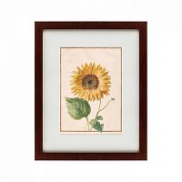 картина: watercolor over pencil etude №3, 1750 в Томске
