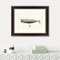 картина: sperm whale (physeter macrocephalus), 1862 в Томске