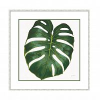постер monstera зеленый в Томске