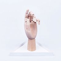 органайзер для украшений the hand белый в Томске