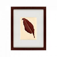 картина: the dark red leaf, 1881 в Томске