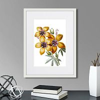картина: caribian flora yellow hibiscus, 1740г. в Томске