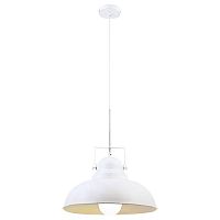 подвесной светильник arte lamp martin a5213sp-1wg в Томске