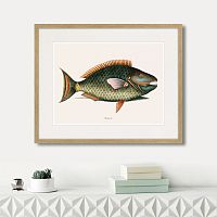 картина: marine life №5, 1725г. в Томске