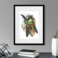 картина: toucans №5, 1849г. в Томске