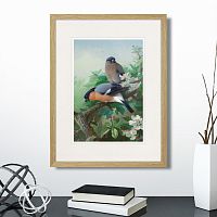 картина: bullfinches, 1915г. в Томске