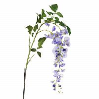 глициния сиреневая 142 см (18) в Томске