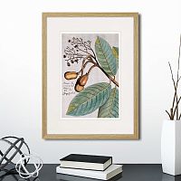 картина: exotic plants of the world №5, 1815 (i) в Томске