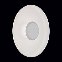 уличный настенный светодиодный светильник st luce sl925.501.01 в Томске