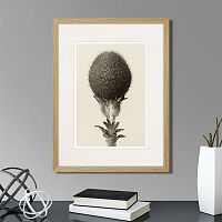картина: botanical philosophy of forms №6, 1912г. в Томске
