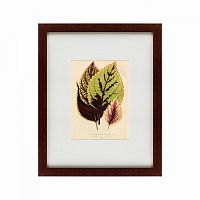 картина: les plantes a feuillage color, 1869 в Томске
