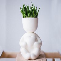 набор для выращивания eco романтик в Томске