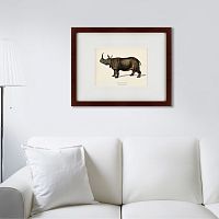 картина: rhinoceros ancienne gravure, 1849 в Томске
