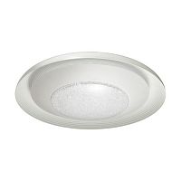 потолочный светодиодный светильник odeon light benso 4623/48cl в Томске