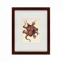 картина: pacific octopus, 1731 в Томске