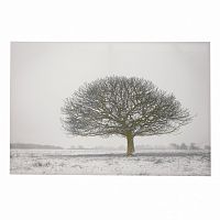 принт wood на подрамнике в Томске