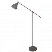 торшер arte lamp braccio a2054pn-1gy в Томске