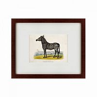 картина: a zebra, 1830 в Томске