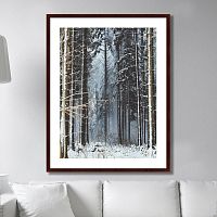 картина: forest, upper austria в Томске