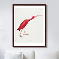 картина: scarlet ibis, 1827г. в Томске