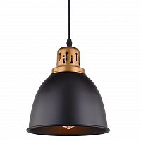 подвесной светильник arte lamp eurica a4245sp-1bk в Томске