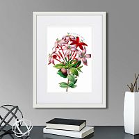 картина: caribian flora red and pink flower, 1740г. в Томске