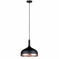 подвесной светильник paulmann embla 79629 в Томске