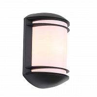 уличный настенный светильник st luce agio sl076.401.01 в Томске