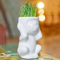 горшок для растений eco игнорик в Томске