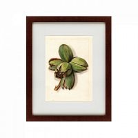 картина: watercolor collection, drawing №1, 1909 в Томске