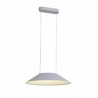 подвесной светодиодный светильник st luce pitto sl427.513.01 в Томске