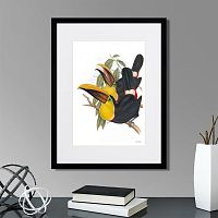 картина: toucans №1, 1849г. в Томске