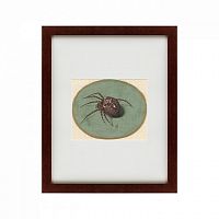 картина: spider, 1690 в Томске