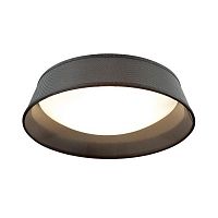 потолочный светильник odeon light sapia 4158/3c в Томске