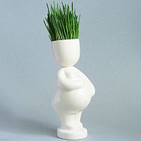 набор для выращивания eco мама в Томске