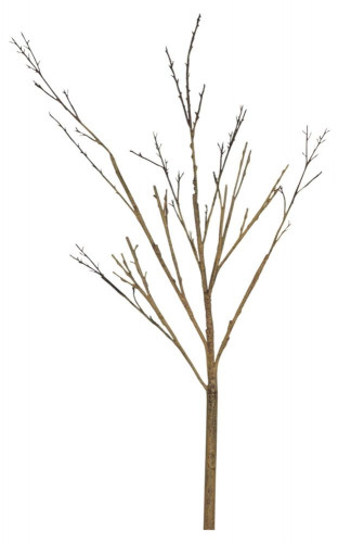 декор twig stem в Томске