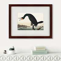 картина: florida cormorant, 1835 в Томске